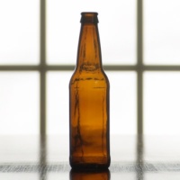 12 oz Beer Bottle, Case of 24