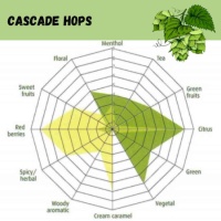 Cascade Pellet Hops - 1 OZ
