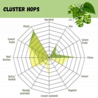 Cluster Pellet Hops - 1 OZ