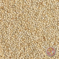 Goldfinch Millet Malt - 2 LB