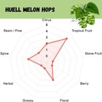 Huell Melon Pellet Hops - 1 OZ