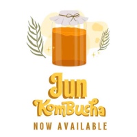Jun Kombucha Premium Starter Culture - Single Unit