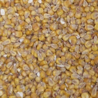 Organic Yellow Corn Malt - 5 LB