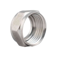 Stainless Tailpiece Hex Nut