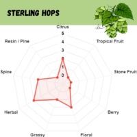 Sterling Pellet Hops - 1 OZ