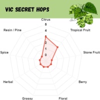 Vic Secret Pellet Hops - 1 OZ